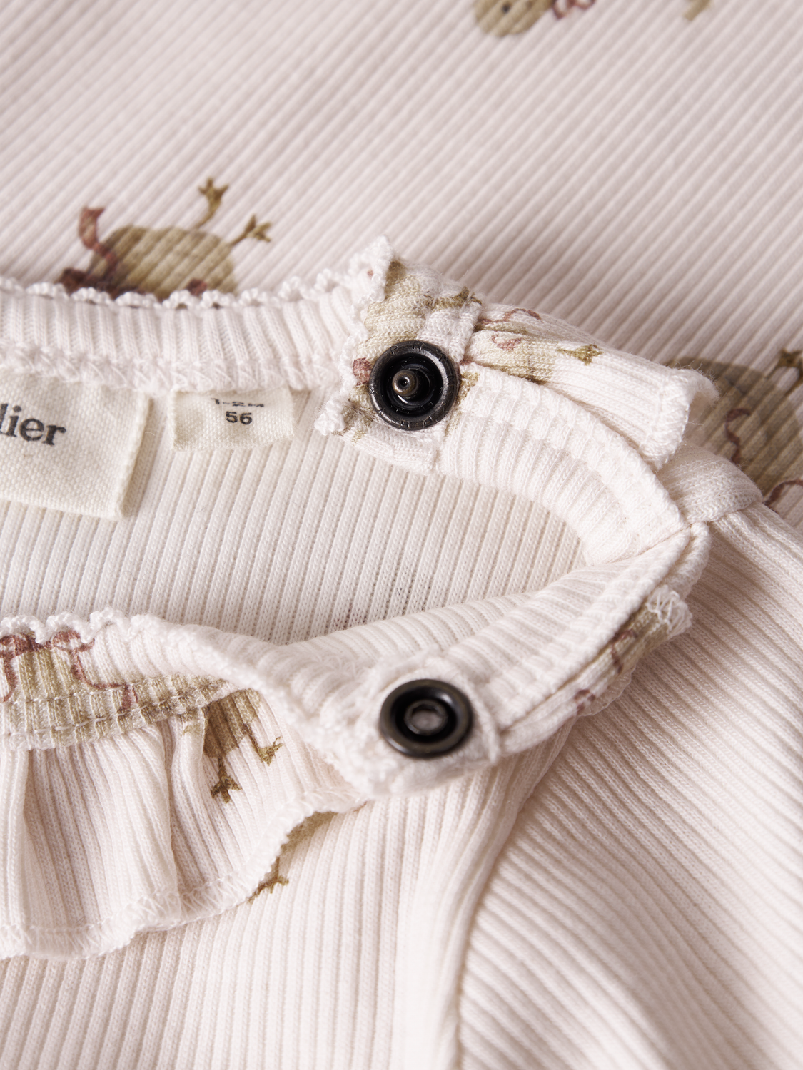 model_shot-front_full